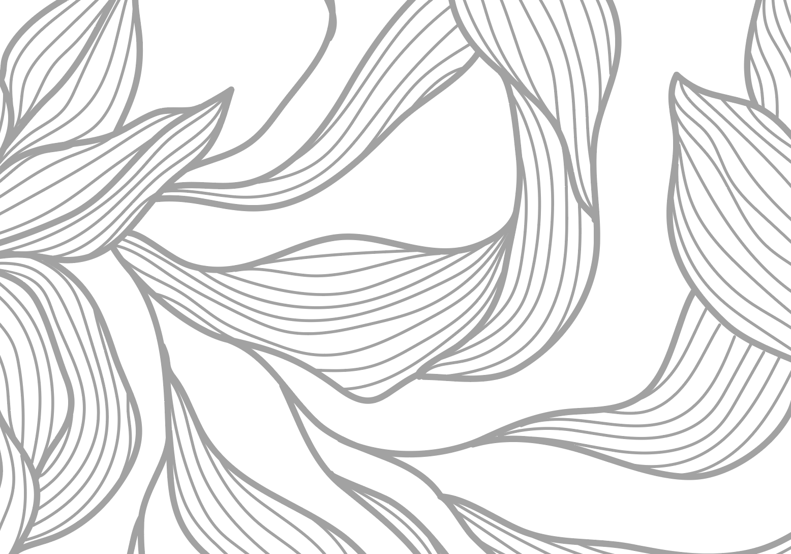 Ein abstraktes Muster aus vielen geschwungenen Linien, die wie große Blätter aussehen. Die Linien sind hellgrau auf weißem Hintergrund.
