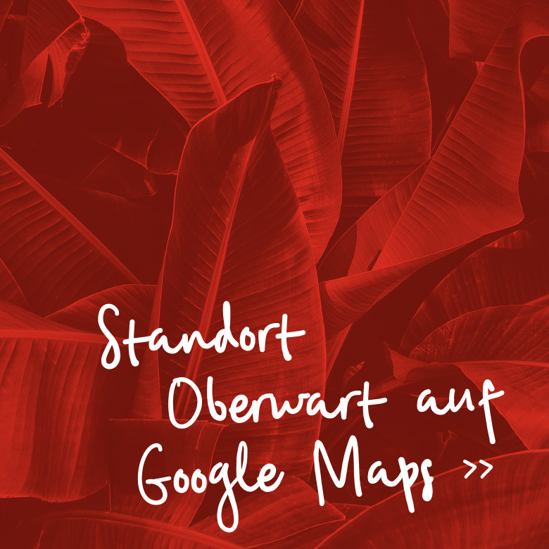 Standort Oberwart auf Google Maps >>