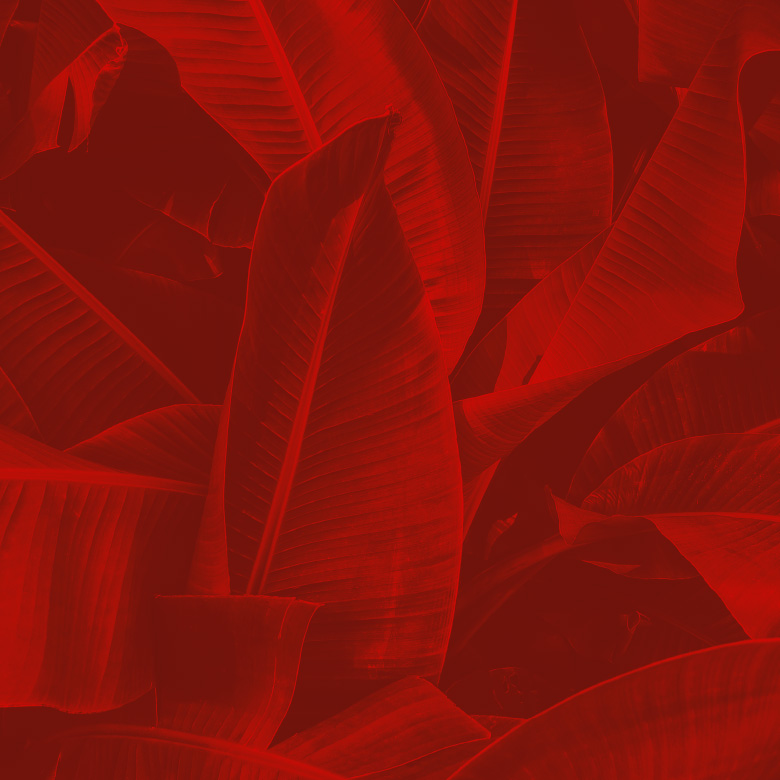 rot